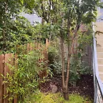 アパート Waldblick レムシャイト