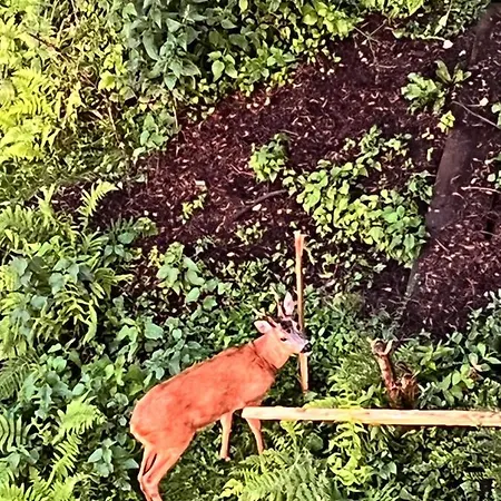 Waldblick * Remscheid