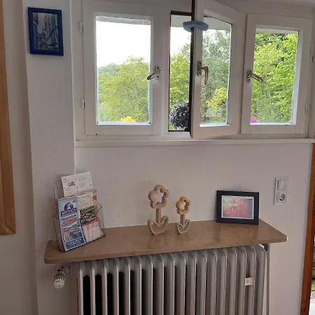 Waldblick Apartament