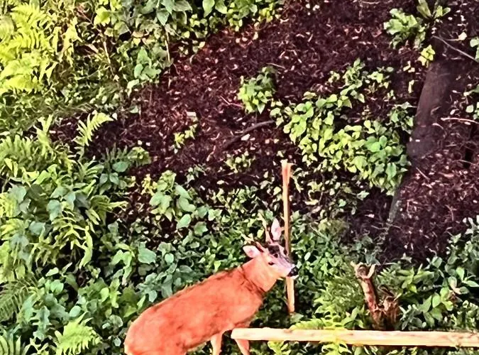 Waldblick * Remscheid